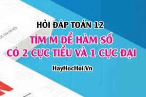 Tìm m để hàm số có 2 cực tiểu và 1 cực đại? Toán lớp 12 - Hỏi đáp